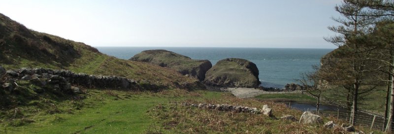 Featured image for Ynys y Fydlyn