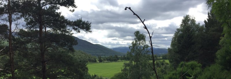 Featured image for Cambus o'May