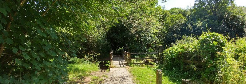 Featured image for The Loe