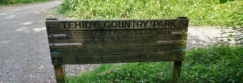 Featured image for Tehidy Country Park