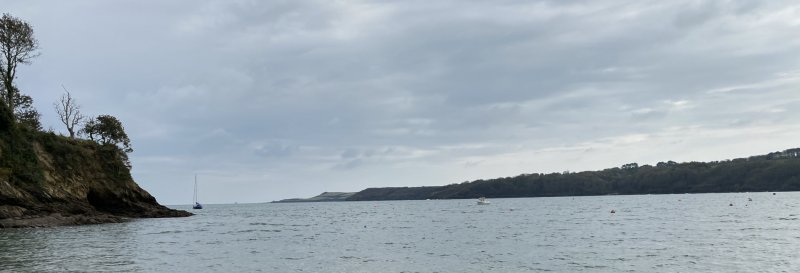 Featured image for Bosveal