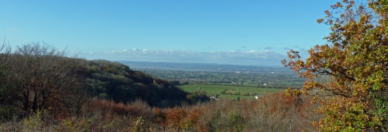 Featured image for Stinchcombe Hill