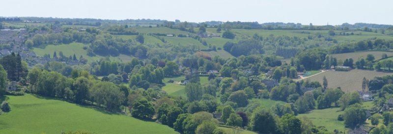 Featured image for Rodborough Common