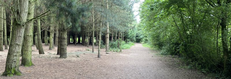 Featured image for Fosse Meadows Country Park