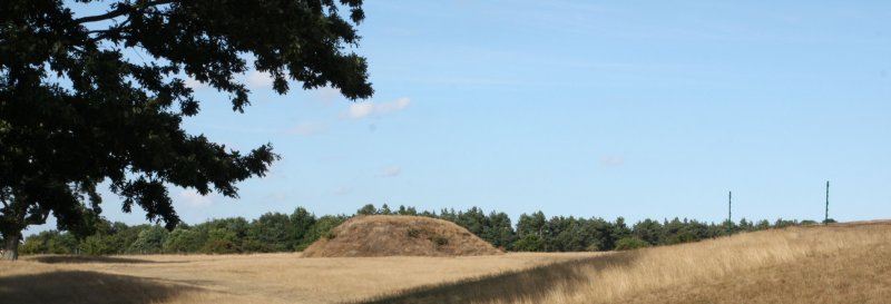 Featured image for Sutton Hoo
