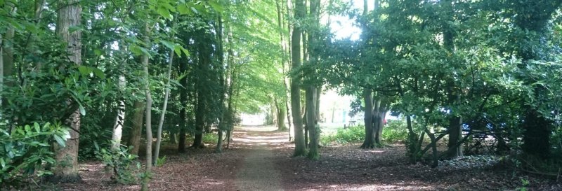 Brandon Country Park