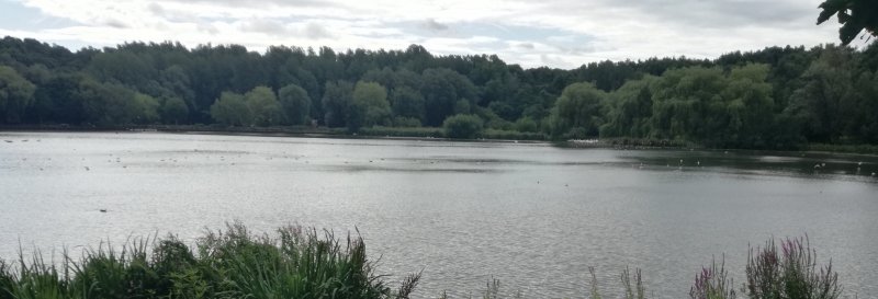 Featured image for Moses Gate Country Park