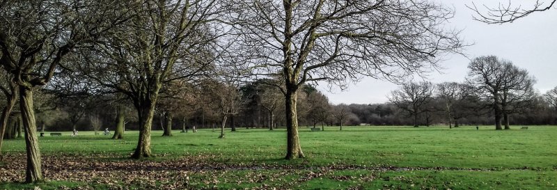 Featured image for Wythenshawe Park