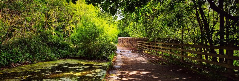 Daisy Nook Country Park
