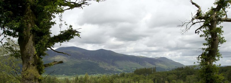 Featured image for Noble Knott