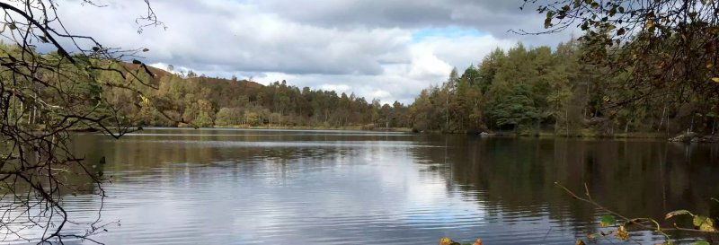 Featured image for High Dam