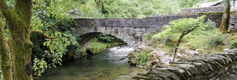 Featured image for Elterwater