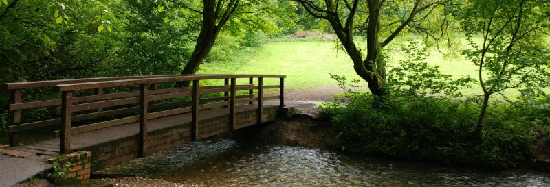 Featured image for Hubbard's Hills