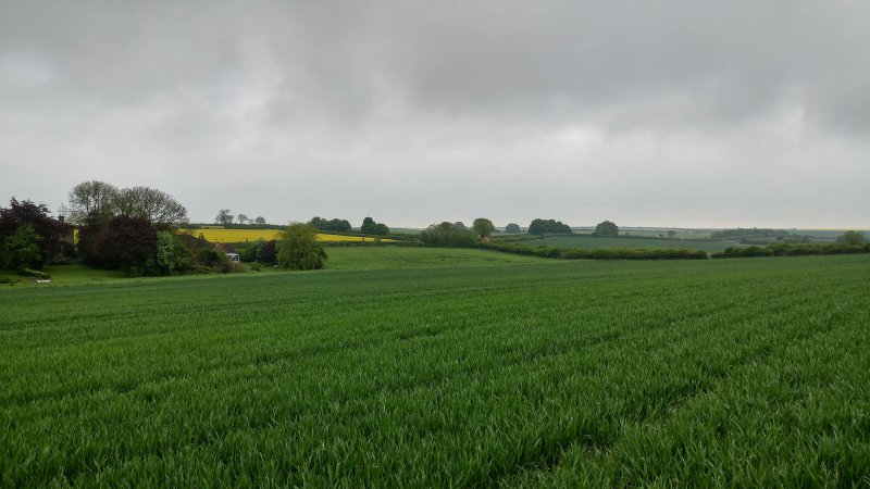 Featured image for Ludford