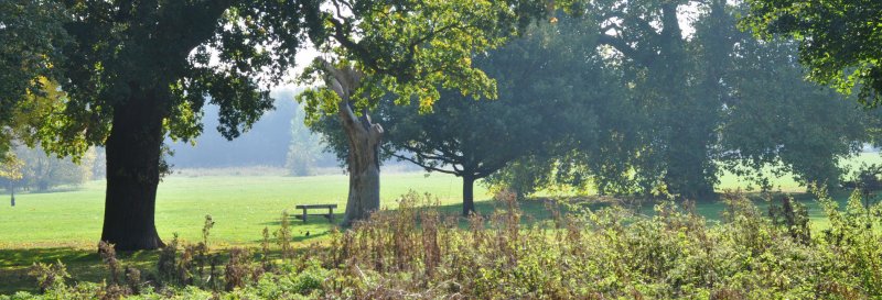 Featured image for Foots Cray Meadows