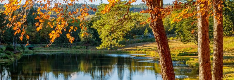 Featured image for Cragside