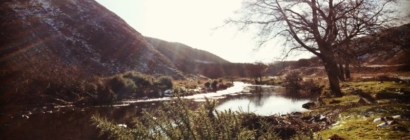 Featured image for Ingram Valley