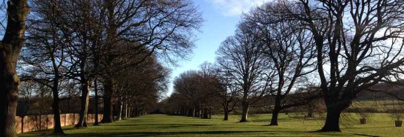 Featured image for Gibside