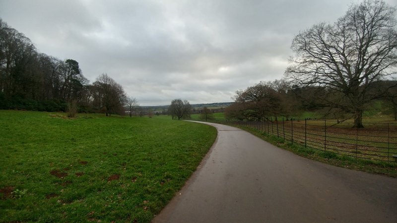 Featured image for Ashton Court