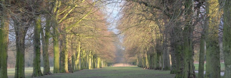 Featured image for Marbury Country Park