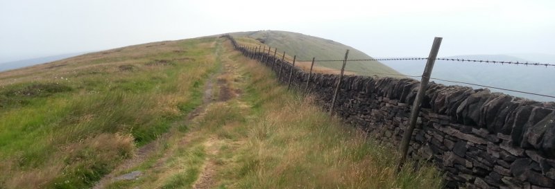 Featured image for Cats Tor