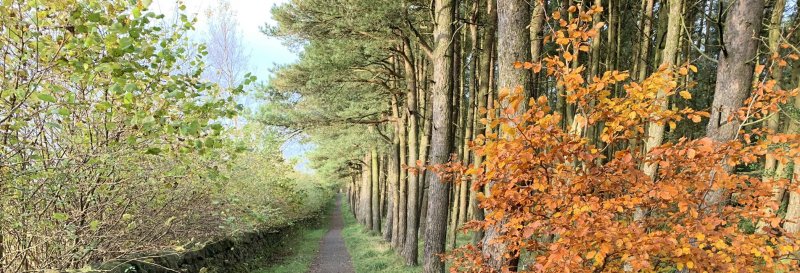 Featured image for Beecraigs Country Park