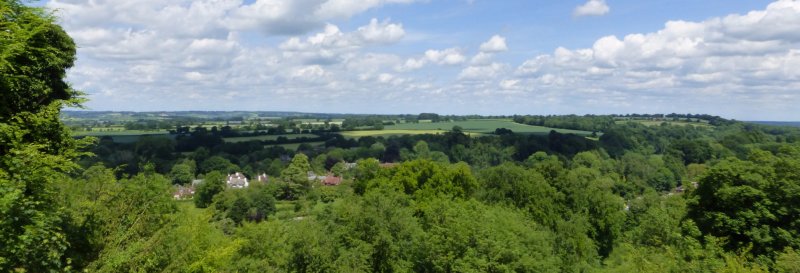 Featured image for Selborne Common