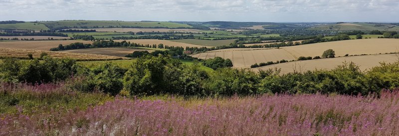 Featured image for Queen Elizabeth Country Park Visitor Centre