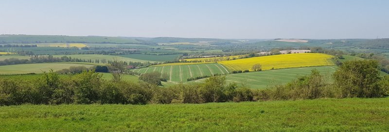 Featured image for Butser Hill