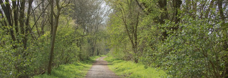 Featured image for Meon Valley Trail, West Meon