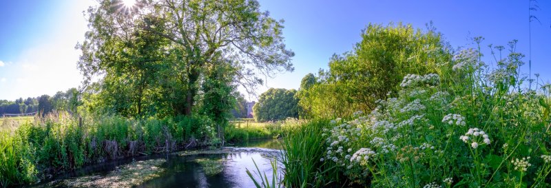 Featured image for Meon Valley Trail, Droxford
