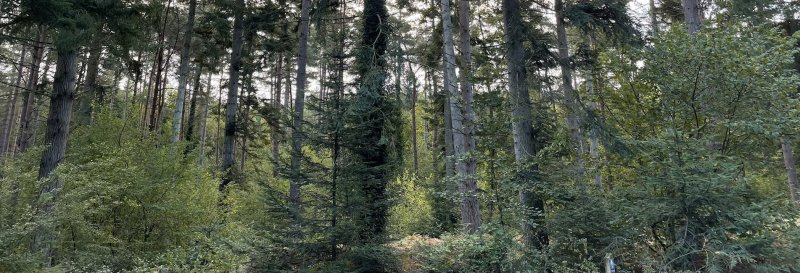 Alice Holt Forest Research Station