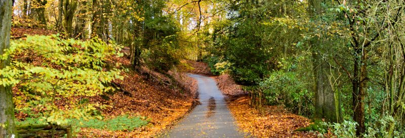 Featured image for Leith Hill