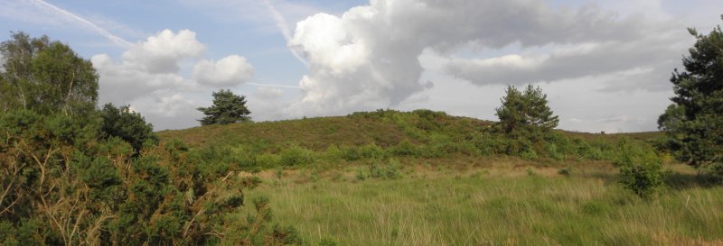 Featured image for Chobham Common