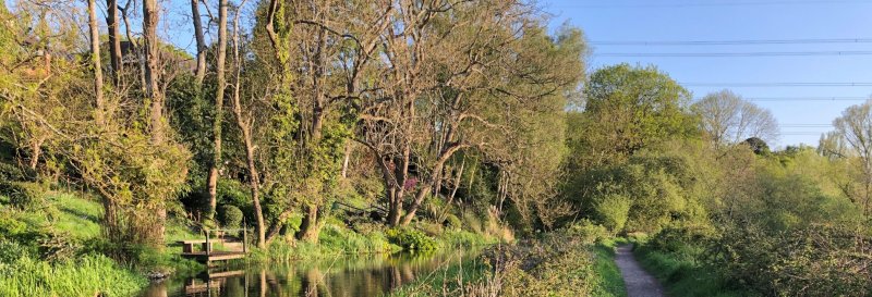 Featured image for Otterbourne Park Wood