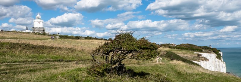 Featured image for The White Cliffs of Dover