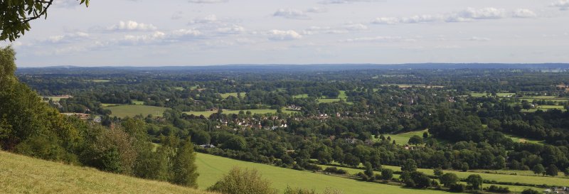 Featured image for Box Hill