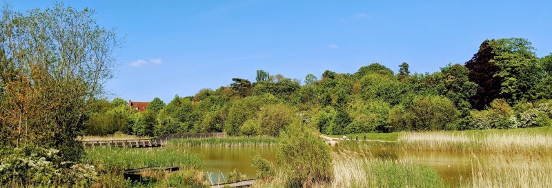 Featured image for Southern Country Park