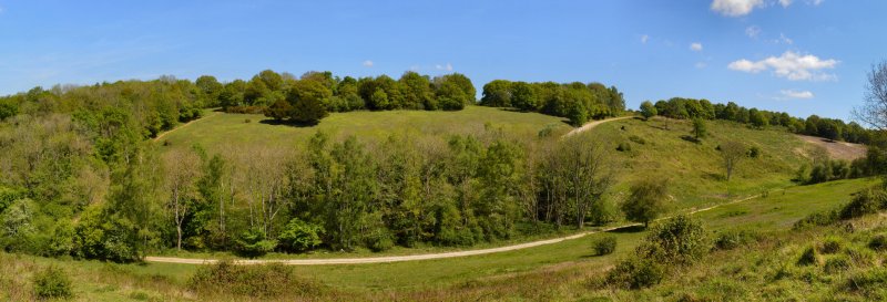 Featured image for Headley Heath