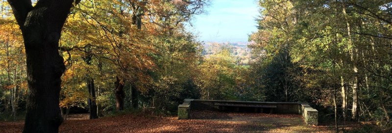 Featured image for St Ann's Hill