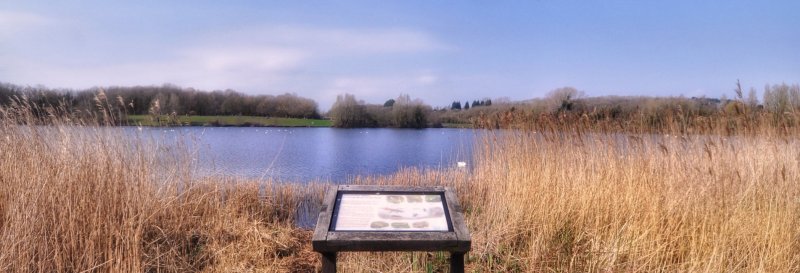 Featured image for Cosmeston Lakes Country Park
