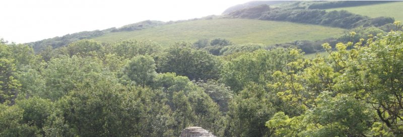 Featured image for Langdon Hill