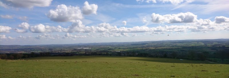 Featured image for Mortimer Forest