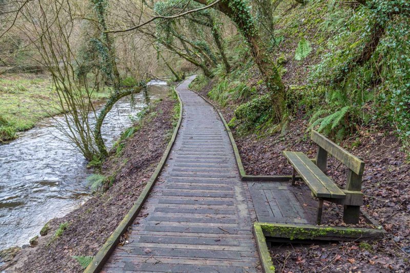 Featured image for Forge Valley Woods