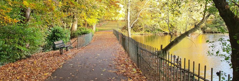Featured image for Graves Park