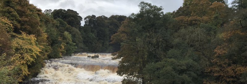 Featured image for Aysgarth Falls