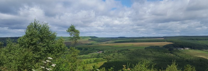 Featured image for Dalby Forest