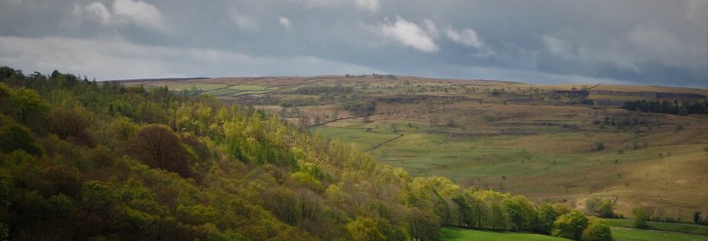 Featured image for Grass Wood Nature Reserve