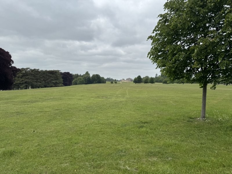 Featured image for Blenheim Palace: The Park Perimeter