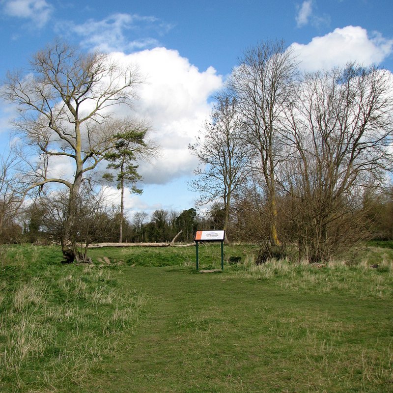 Fulbourn Fen